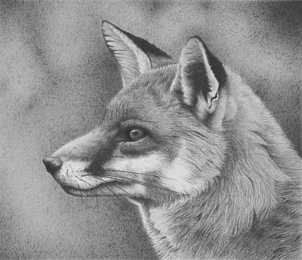 Prin lentila unui desene alb-negru animale (alb-negru) Prin lentilele unei desene alb-negru de animale