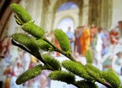 Ce sa nu faci la Duminica Floriilor (nu poți) Ce sa nu faci în Duminica Floriilor