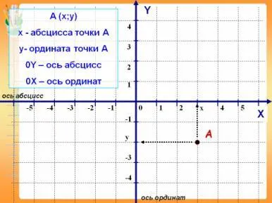 Ce este abscisa