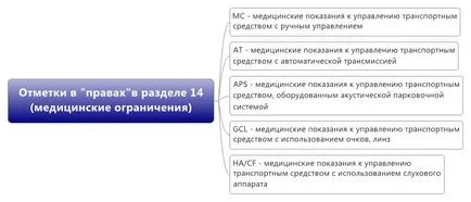 Ce note speciale și GCL la punctul 12 din noul permis de conducere de model