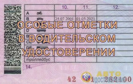 Ce note speciale privind permisul de conducere