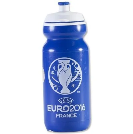Ei beau jucătorii în Euro-2016