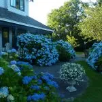 Paturi din țară, cu propriile lor mâini - 63 fotografii (Dacha) Paturile din țară cu propriile lor mâini - 63 fotografii