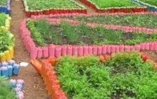 Flowerbeds de plastic sticle de exemple de decor (sticle) Paturi din plastic sticle Exemple decorațiuni