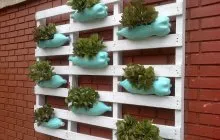 Flowerbeds de decor din plastic sticle exemple (plastic) Paturi din plastic sticle Exemple decorațiuni