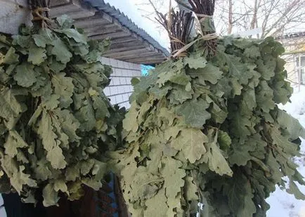 Când recolta besoms martor, cum să tricot de mesteacăn, mesteacăn și atunci când pentru a colecta