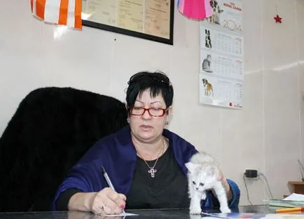 pisici Club - pisica Baiyun și - g,