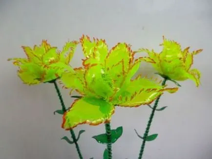 paturi de flori și paturi de flori din sticle de plastic, colecție foto