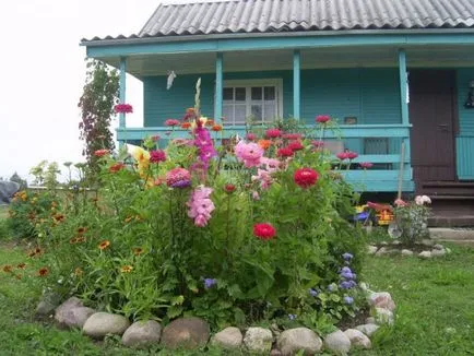 Răzor de flori în țară cu propriile lor mâini (57 poze) produse de flori special suburbane din anvelope, foto și (un strat de flori în țară cu propriile lor mâini cum să facă) Răzor de flori în țară cu propriile lor mâini (57 poze) produse de flori special suburbane din anvelope, și fotografii