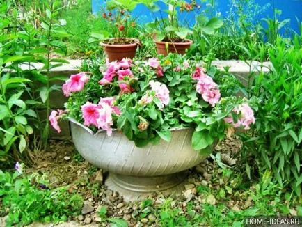 Răzor de flori în țară cu propriile lor mâini (dacha) Răzor de flori în țară cu propriile mâini