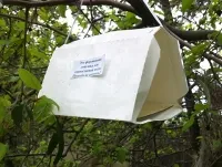 Ce este moliile hermină și cum să-l lupta, întrebare-răspuns, AMF Irkutsk (Ermine Moth) Ce este moliile hermină și cum să-l lupta, întrebare-răspuns, Irkutsk AMF