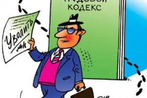 Care este normele interne ale organizației, și de către cine au fost aprobate