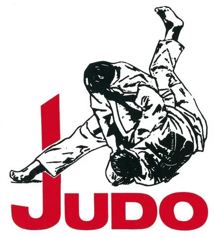Ce este Sambo, istoria Sambo, echipamente Sambo