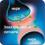Ceea ce medicul trebuie să spună pacientului versurile de numire