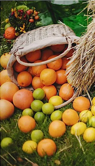 Citrus nunta de brand și Julia