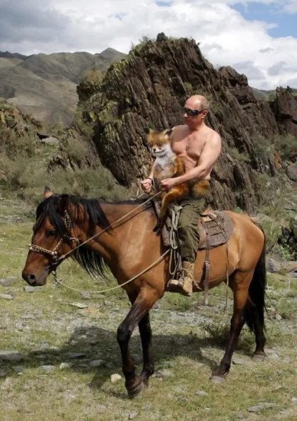 Sperietoarea Fox ședinței - o memă populară Runet