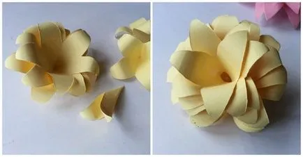 Flori de master-class de hârtie
