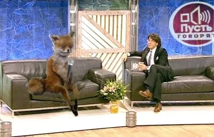 Sperietoarea Fox ședinței - o memă populară Runet