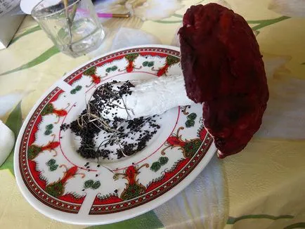 Ciuperci Marvelous din lână și pastă cu mâinile (spital) ciuperci Marvelous din lână și lipiți propriile lor mâini