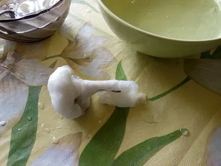 ciuperci Marvelous din lână și lipiți cu mâinile (pastă) ciuperci Marvelous din lână și lipiți propriile lor mâini