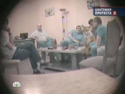 Sperietoarea Fox ședinței - o memă populară Runet