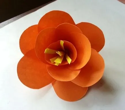 Flori de master-class de hârtie