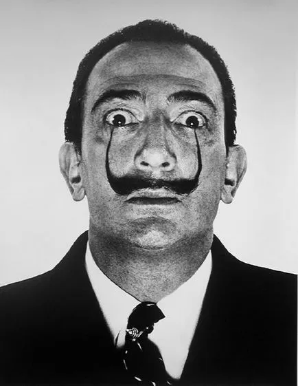 Dali și pisici