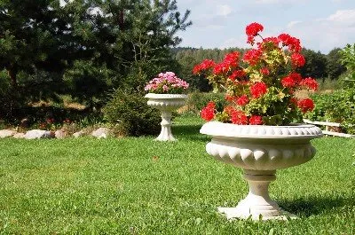 porțiune decorative de proiectare vaze ateliere de compoziție