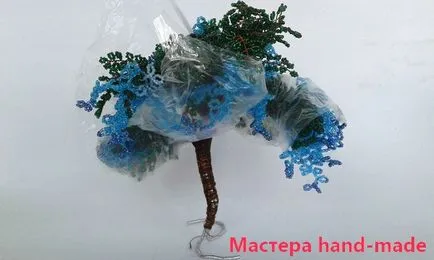 Lemn șirag de mărgele - clasa de master Wisteria cu fotografie (talon copac Wisteria) Lemn șirag de mărgele - clasa de master Wisteria cu fotografii