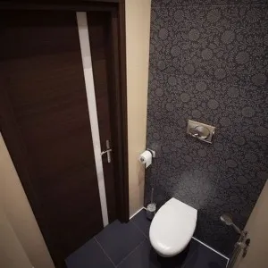 Design-ul de toaletă, design de toaletă de suprafață mică, baie renovată, articole, lecții, echipament video (reparații) Design-ul de toaletă, un mic pătrat de design de toaletă, baie, articole de renovare, lecții, materiale video,