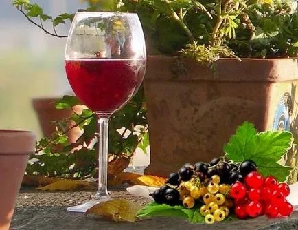 vin de casa din fructe de pădure, cum să gătească o băutură minunată (boabe) vin de casa din fructe de pădure, cum să gătească o băutură minunată