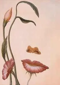 Filer în cosmetologie