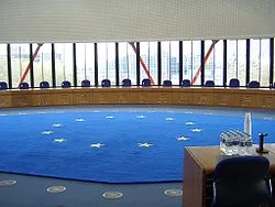 Curtea Europeană a Drepturilor Omului - a (Europa) Curtea Europeană a Drepturilor Omului - este