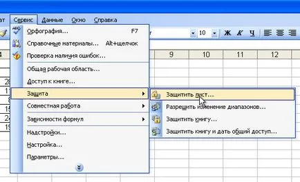 de protecție a celulei Excel de schimbare