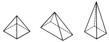 Forma de organisme simple, poliedre geometrice, rotirea corpului