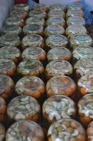 Canning compot de caise