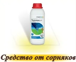 iarbă de gazon - cumpăra semințe în magazin on-line „gazon World“, livrare rapida (iarba) iarbă de gazon - cumpăra semințe în magazin on-line „de gazon World“, livrare rapida