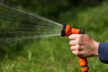 Lawn în țară cu propriile lor mâini pas cu pas instrucțiunile (gazon) Lawn în țară cu propriile mâini ghid pas cu pas
