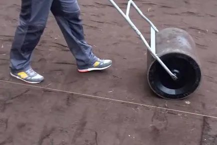 Lawn în țară cu propriile lor mâini pas cu pas instrucțiunile (gazon) Lawn în țară cu propriile mâini ghid pas cu pas