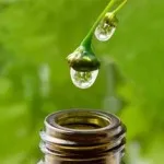 manualul de instrucțiuni Homeopatie