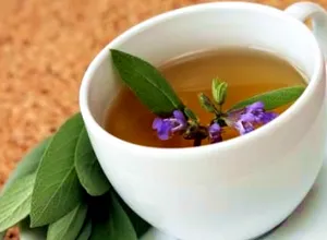 ierburi hormonale pentru femei (femei) plante medicinale pentru femei hormonale