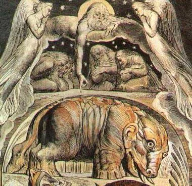 Hippo și Hippo