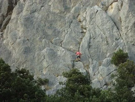 pisica de munte în Simeiz, Insula Crimeea