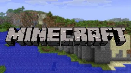 Minecraft jucători