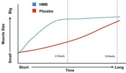 HMB (acid beta-metilbutiric-beta hidroxi) publicitate sau aditiv în picioare inactiv