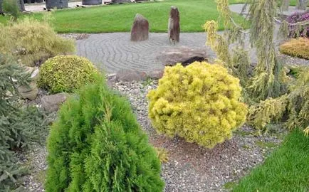 Pietriș grădină modul de a face propriile lor mâini, alegerea de plante, fotografii