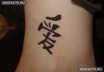 tatuaje Kanji și semnificația lor (foto) (caractere chinezești sensurilor) tatuaje Kanji și semnificația lor (foto)