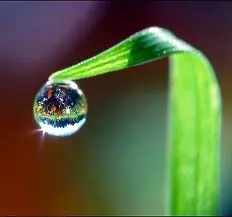Instrumente ho - oponopono, napositive