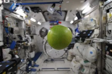 fapte interesante despre viața de astronauți în spațiu