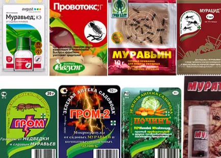 instructiuni anteater Insecticid pentru utilizare, descriere, comentarii